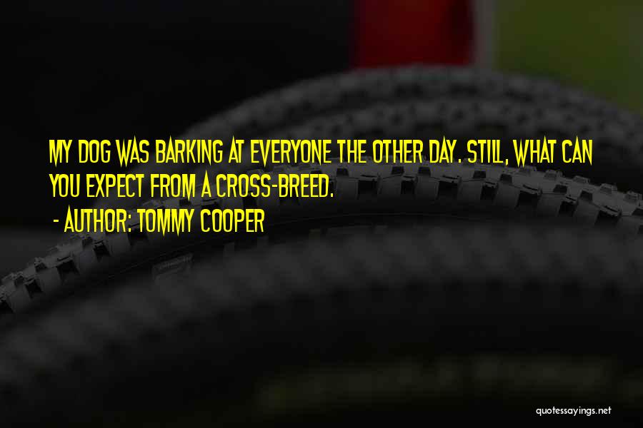 Tommy Cooper Quotes: My Dog Was Barking At Everyone The Other Day. Still, What Can You Expect From A Cross-breed.