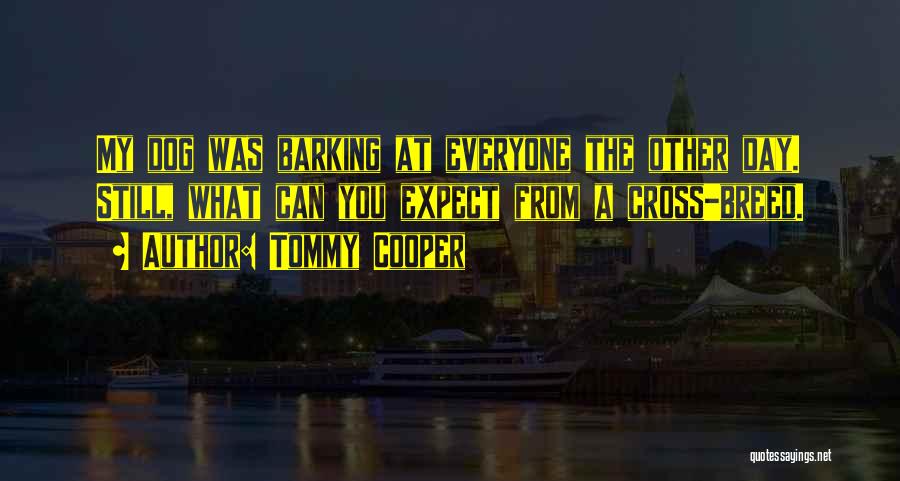 Tommy Cooper Quotes: My Dog Was Barking At Everyone The Other Day. Still, What Can You Expect From A Cross-breed.