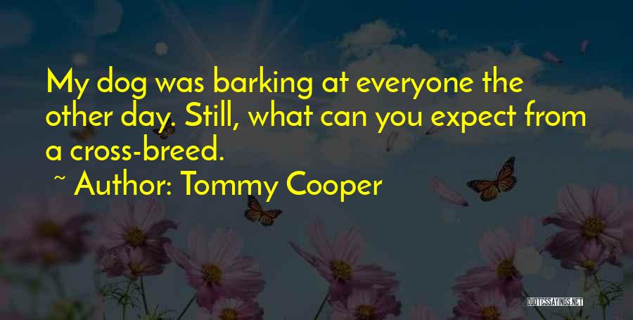 Tommy Cooper Quotes: My Dog Was Barking At Everyone The Other Day. Still, What Can You Expect From A Cross-breed.