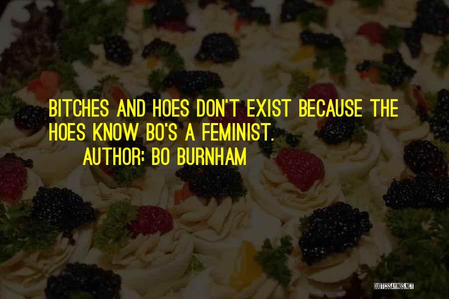 Bo Burnham Quotes: Bitches And Hoes Don't Exist Because The Hoes Know Bo's A Feminist.