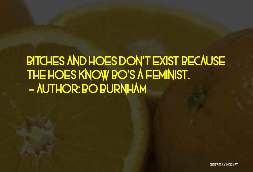 Bo Burnham Quotes: Bitches And Hoes Don't Exist Because The Hoes Know Bo's A Feminist.