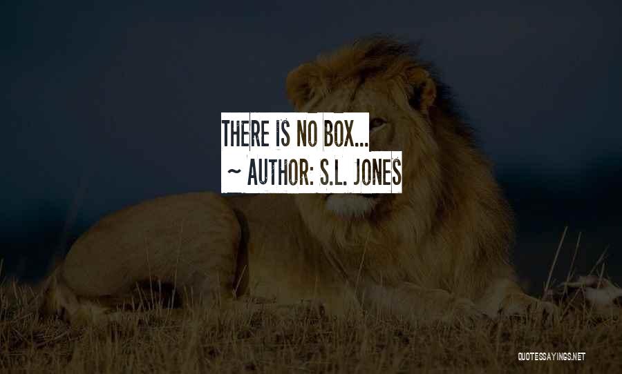 S.L. Jones Quotes: There Is No Box...
