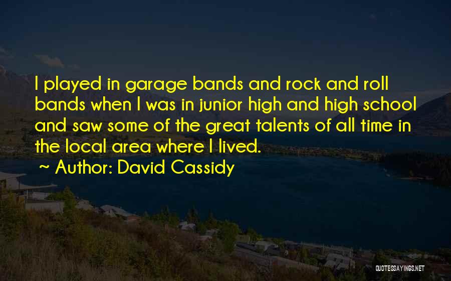 David Cassidy Quotes: I Played In Garage Bands And Rock And Roll Bands When I Was In Junior High And High School And