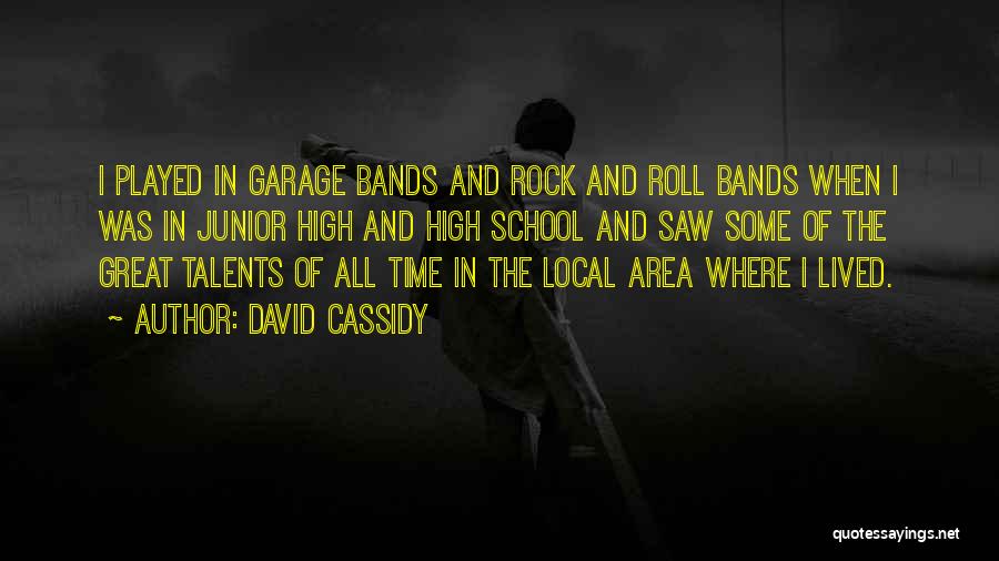 David Cassidy Quotes: I Played In Garage Bands And Rock And Roll Bands When I Was In Junior High And High School And