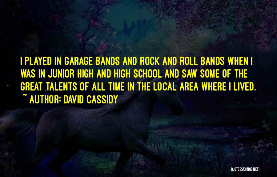 David Cassidy Quotes: I Played In Garage Bands And Rock And Roll Bands When I Was In Junior High And High School And