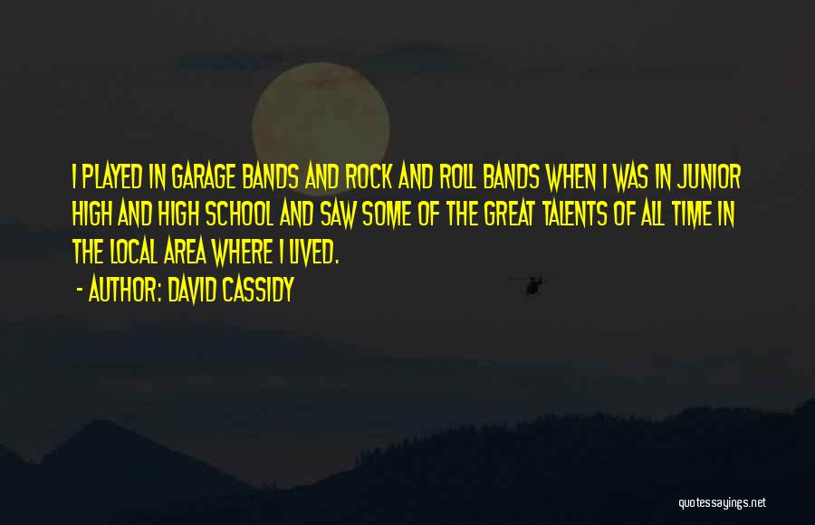 David Cassidy Quotes: I Played In Garage Bands And Rock And Roll Bands When I Was In Junior High And High School And