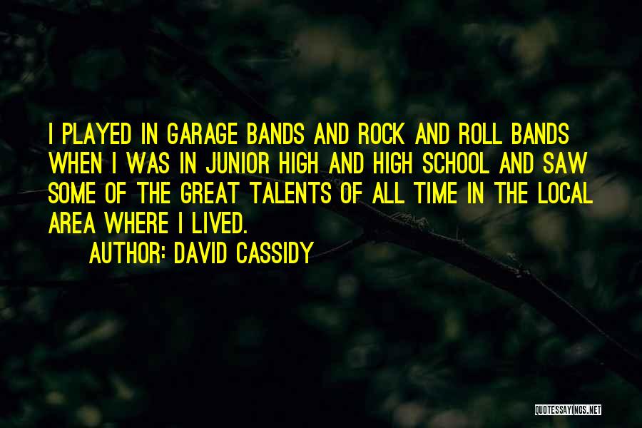 David Cassidy Quotes: I Played In Garage Bands And Rock And Roll Bands When I Was In Junior High And High School And