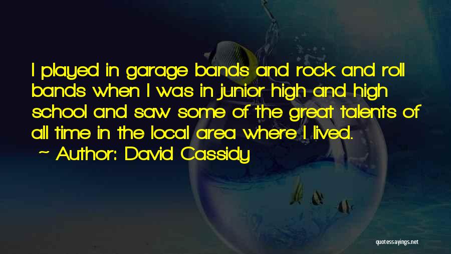 David Cassidy Quotes: I Played In Garage Bands And Rock And Roll Bands When I Was In Junior High And High School And