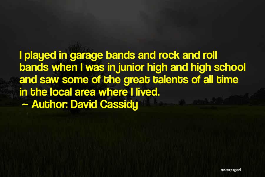 David Cassidy Quotes: I Played In Garage Bands And Rock And Roll Bands When I Was In Junior High And High School And