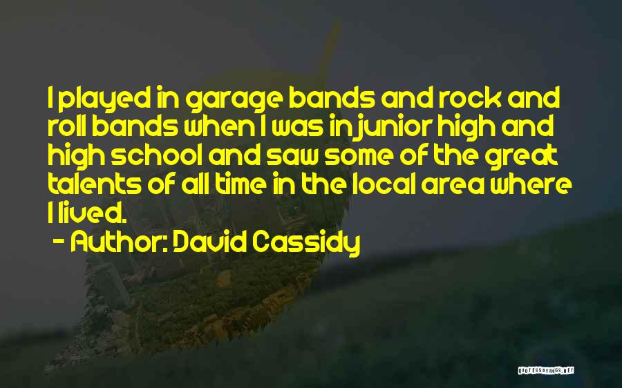 David Cassidy Quotes: I Played In Garage Bands And Rock And Roll Bands When I Was In Junior High And High School And