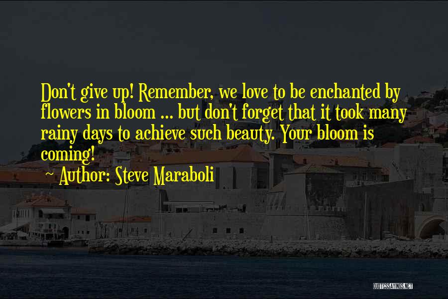 Steve Maraboli Quotes: Don't Give Up! Remember, We Love To Be Enchanted By Flowers In Bloom ... But Don't Forget That It Took