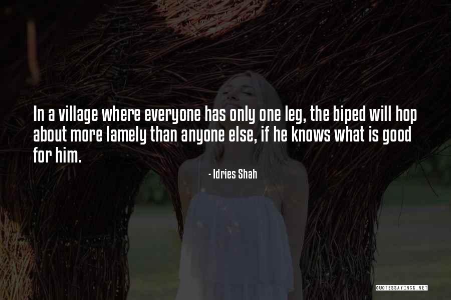 11in Softballs Quotes By Idries Shah 11in Softballs Quotes By Idries Shah