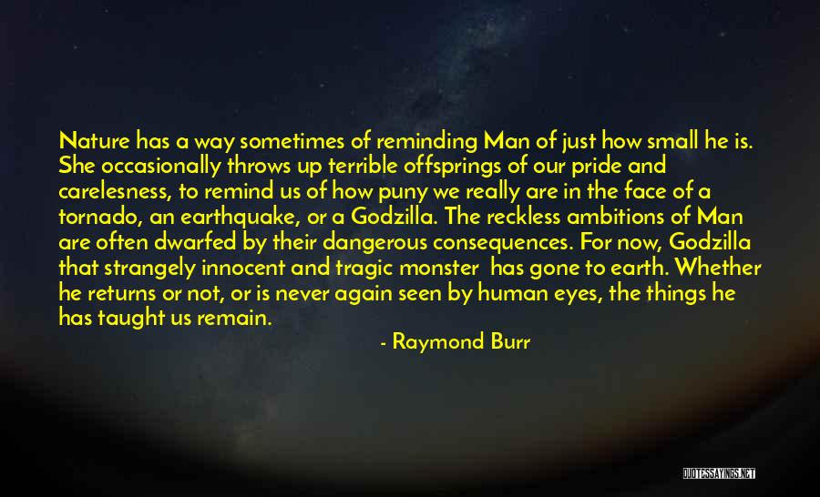 11th November Quotes By Raymond Burr 11th November Quotes By Raymond Burr