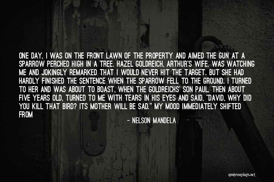 11toon Quotes By Nelson Mandela 11toon Quotes By Nelson Mandela