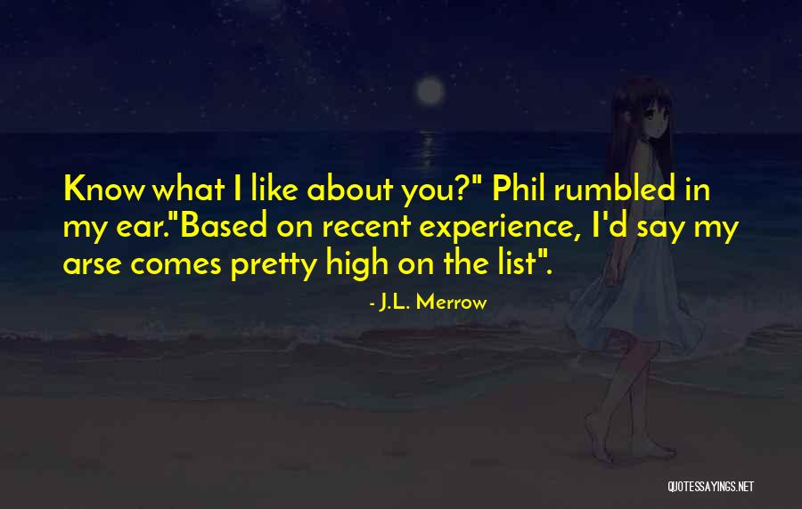12 Dancing Princesses Quotes By J.L. Merrow 12 Dancing Princesses Quotes By J.L. Merrow