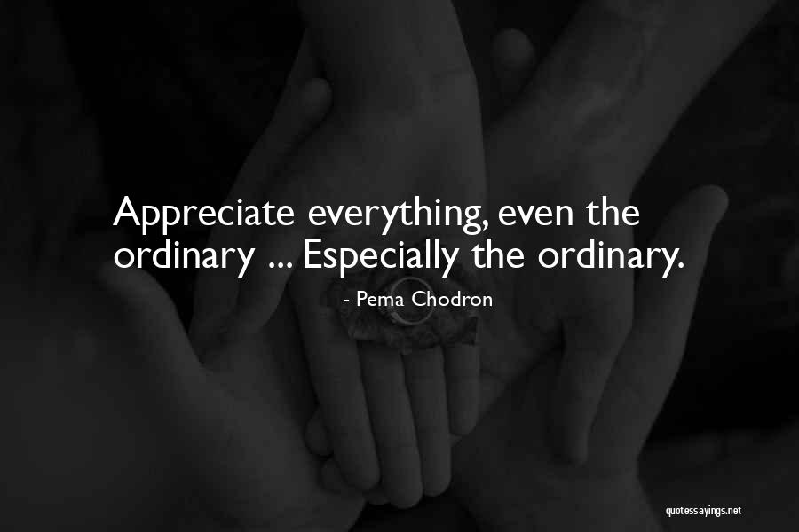 12 Step Recovery Inspirational Quotes By Pema Chodron 12 Step Recovery Inspirational Quotes By Pema Chodron