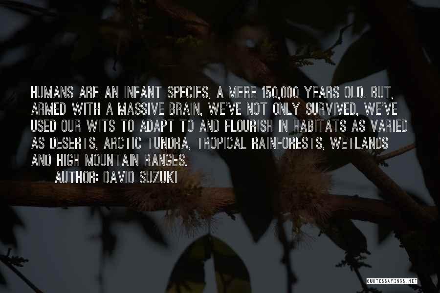 David Suzuki Quotes: Humans Are An Infant Species, A Mere 150,000 Years Old. But, Armed With A Massive Brain, We've Not Only Survived,