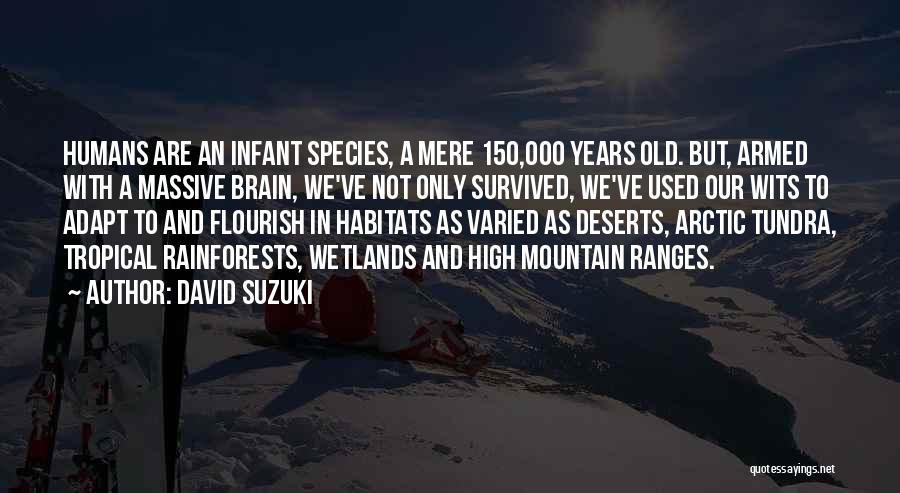 David Suzuki Quotes: Humans Are An Infant Species, A Mere 150,000 Years Old. But, Armed With A Massive Brain, We've Not Only Survived,