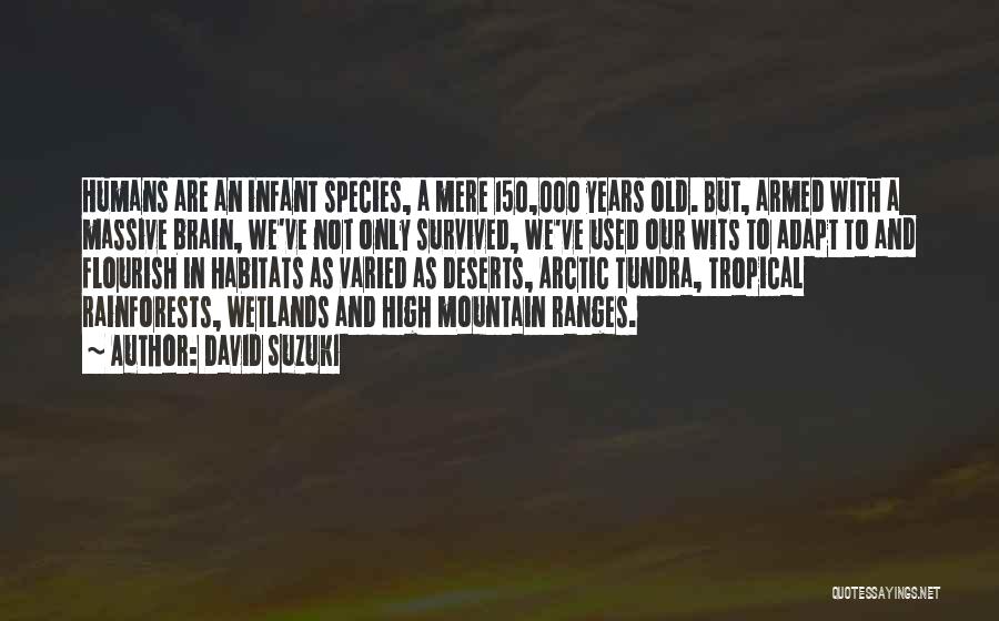 David Suzuki Quotes: Humans Are An Infant Species, A Mere 150,000 Years Old. But, Armed With A Massive Brain, We've Not Only Survived,