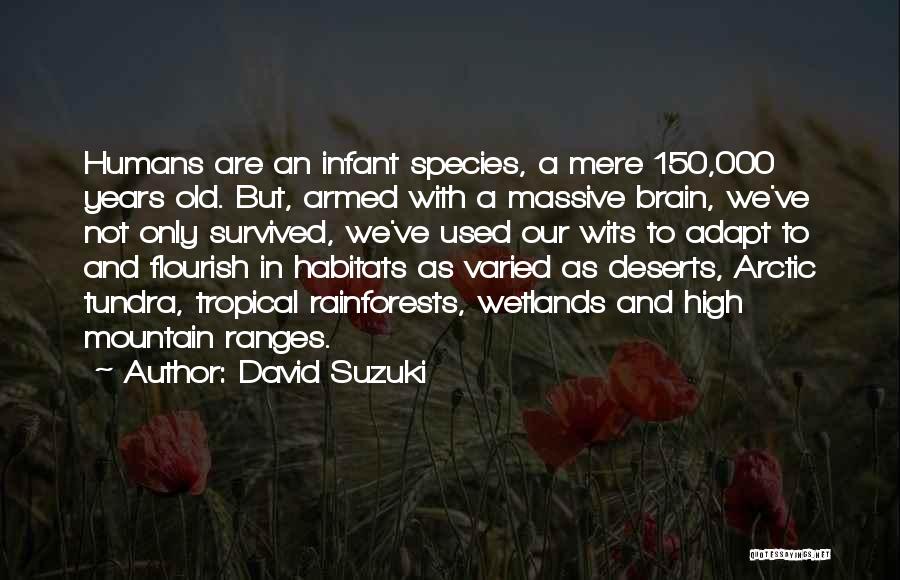 David Suzuki Quotes: Humans Are An Infant Species, A Mere 150,000 Years Old. But, Armed With A Massive Brain, We've Not Only Survived,