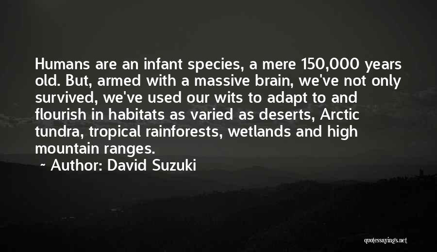 David Suzuki Quotes: Humans Are An Infant Species, A Mere 150,000 Years Old. But, Armed With A Massive Brain, We've Not Only Survived,