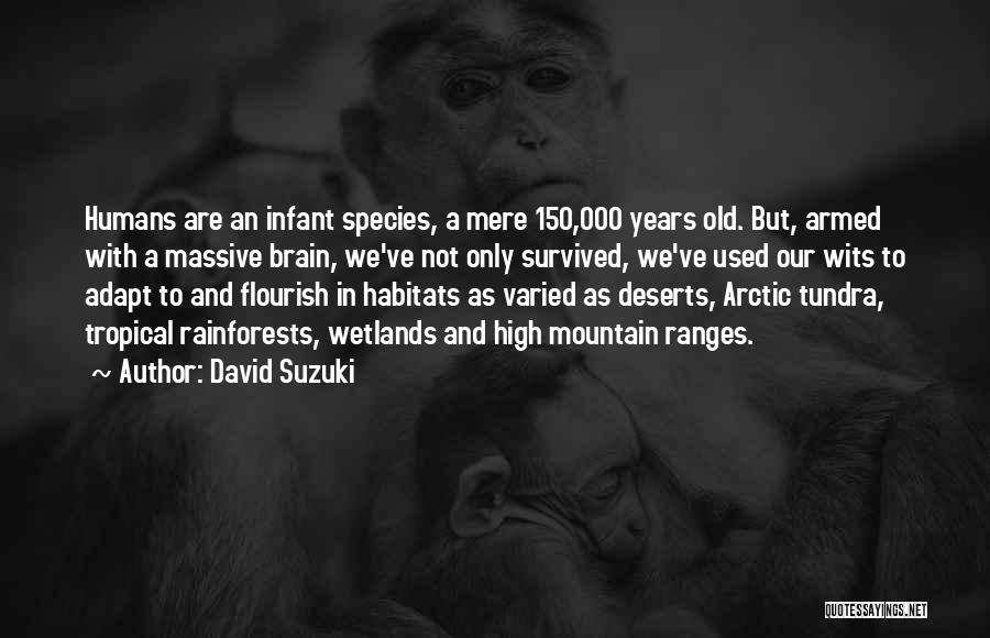 David Suzuki Quotes: Humans Are An Infant Species, A Mere 150,000 Years Old. But, Armed With A Massive Brain, We've Not Only Survived,