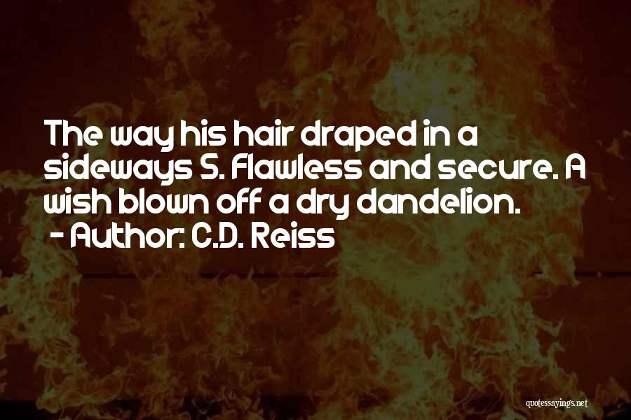 C.D. Reiss Quotes: The Way His Hair Draped In A Sideways S. Flawless And Secure. A Wish Blown Off A Dry Dandelion.