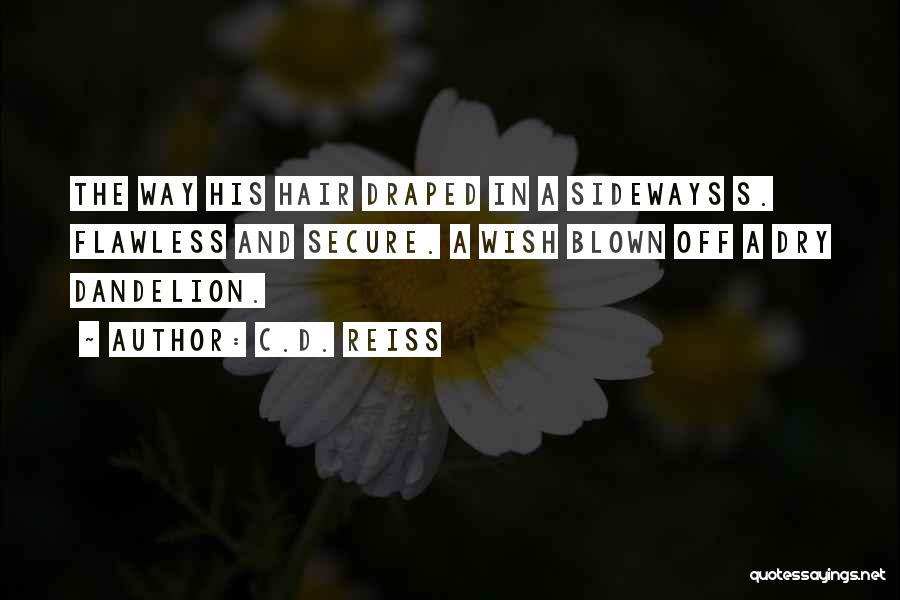 C.D. Reiss Quotes: The Way His Hair Draped In A Sideways S. Flawless And Secure. A Wish Blown Off A Dry Dandelion.