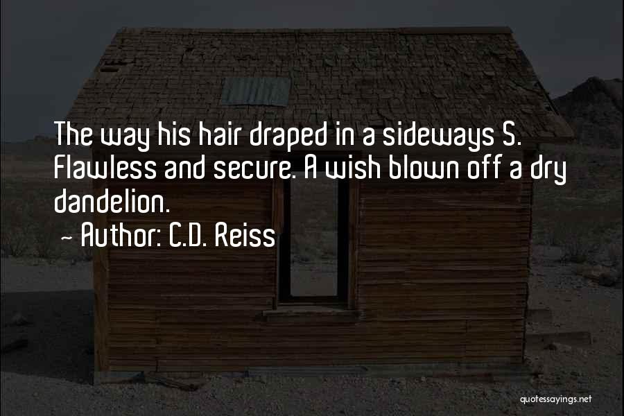 C.D. Reiss Quotes: The Way His Hair Draped In A Sideways S. Flawless And Secure. A Wish Blown Off A Dry Dandelion.