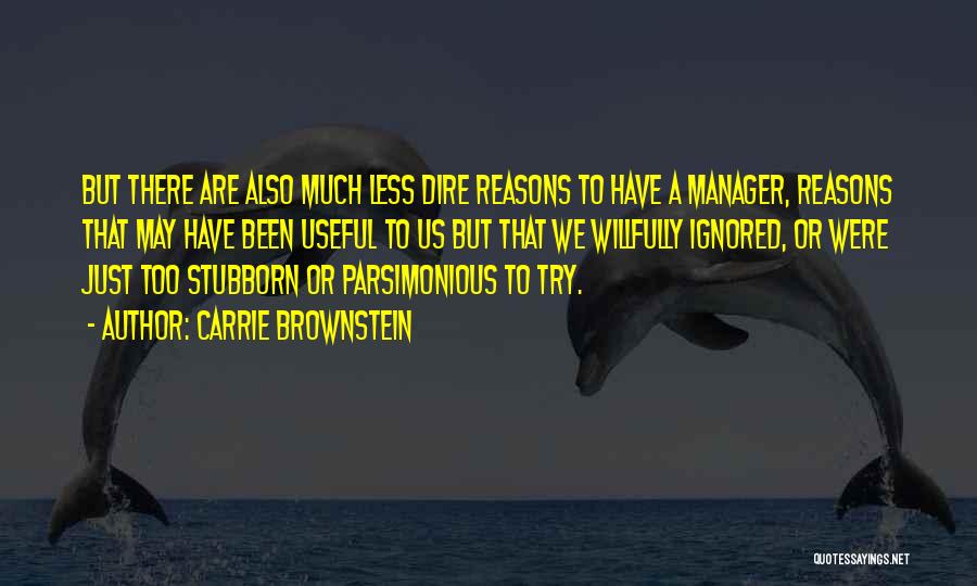 Carrie Brownstein Quotes: But There Are Also Much Less Dire Reasons To Have A Manager, Reasons That May Have Been Useful To Us