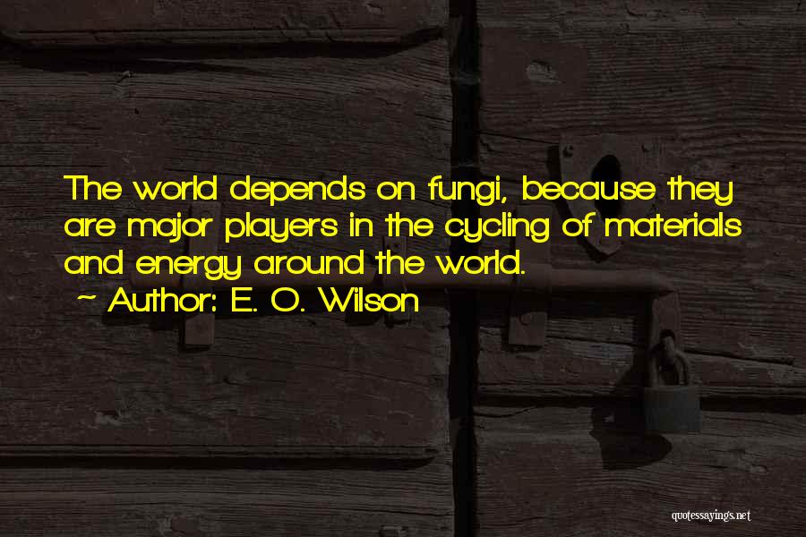 E. O. Wilson Quotes: The World Depends On Fungi, Because They Are Major Players In The Cycling Of Materials And Energy Around The World.