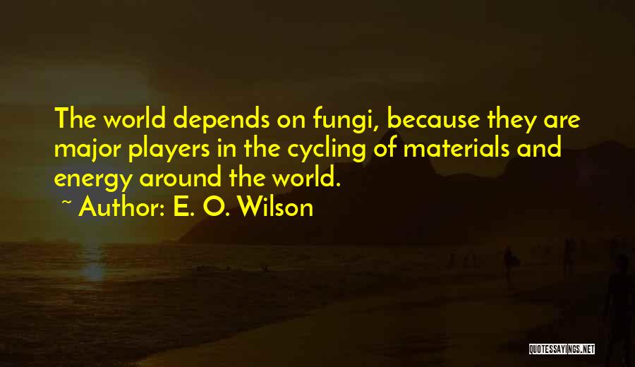 E. O. Wilson Quotes: The World Depends On Fungi, Because They Are Major Players In The Cycling Of Materials And Energy Around The World.