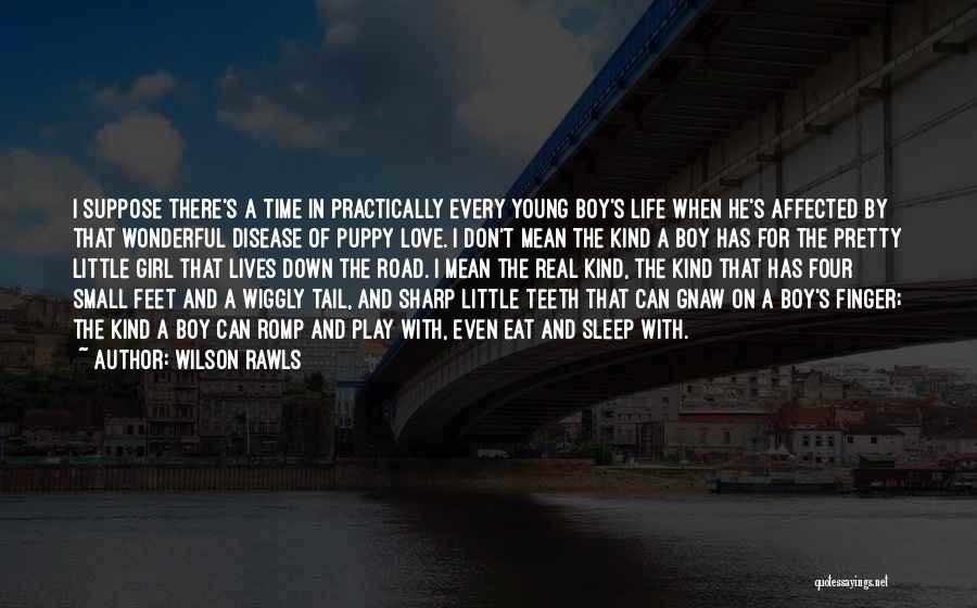 Wilson Rawls Quotes: I Suppose There's A Time In Practically Every Young Boy's Life When He's Affected By That Wonderful Disease Of Puppy