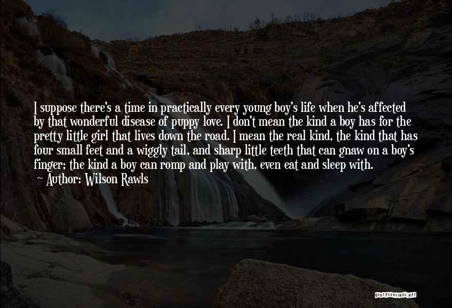 Wilson Rawls Quotes: I Suppose There's A Time In Practically Every Young Boy's Life When He's Affected By That Wonderful Disease Of Puppy