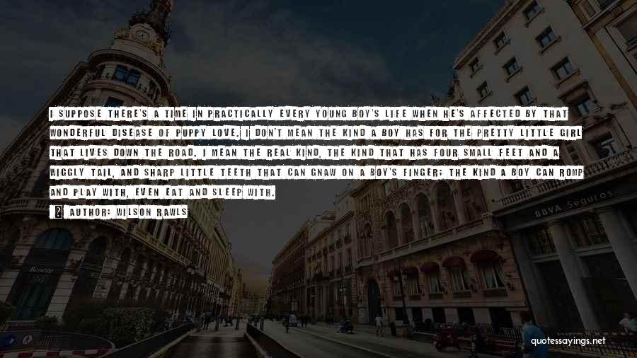 Wilson Rawls Quotes: I Suppose There's A Time In Practically Every Young Boy's Life When He's Affected By That Wonderful Disease Of Puppy