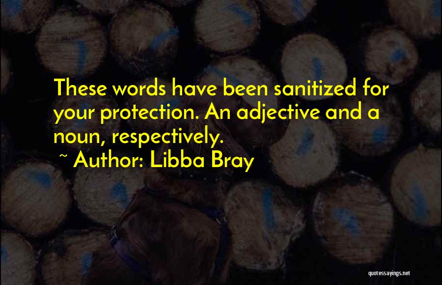 Libba Bray Quotes: These Words Have Been Sanitized For Your Protection. An Adjective And A Noun, Respectively.