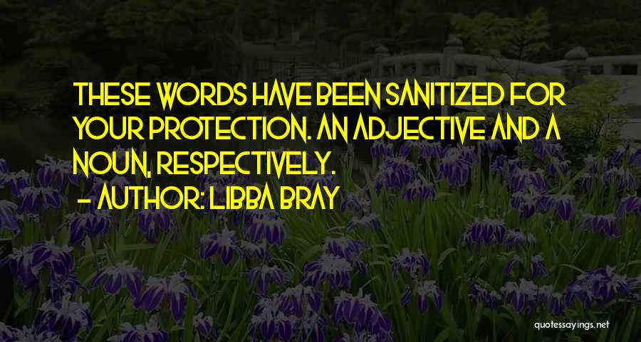 Libba Bray Quotes: These Words Have Been Sanitized For Your Protection. An Adjective And A Noun, Respectively.