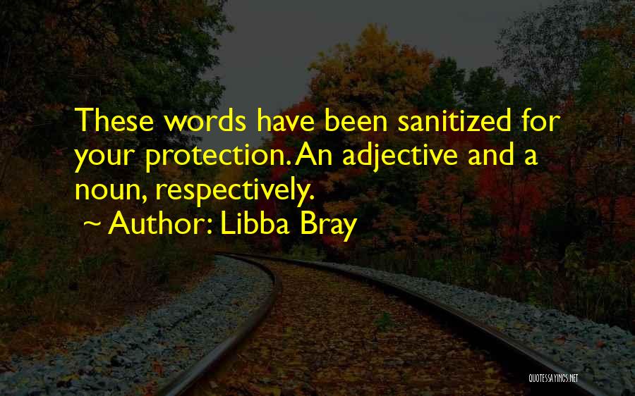 Libba Bray Quotes: These Words Have Been Sanitized For Your Protection. An Adjective And A Noun, Respectively.