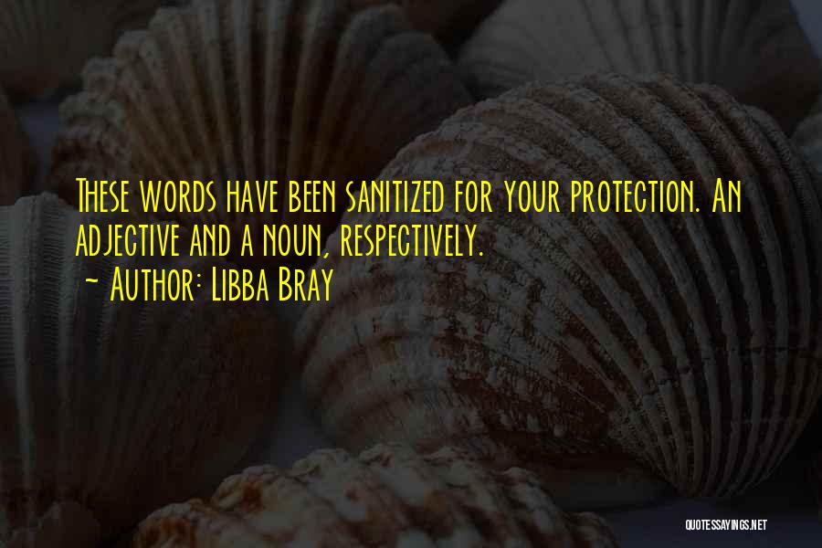 Libba Bray Quotes: These Words Have Been Sanitized For Your Protection. An Adjective And A Noun, Respectively.
