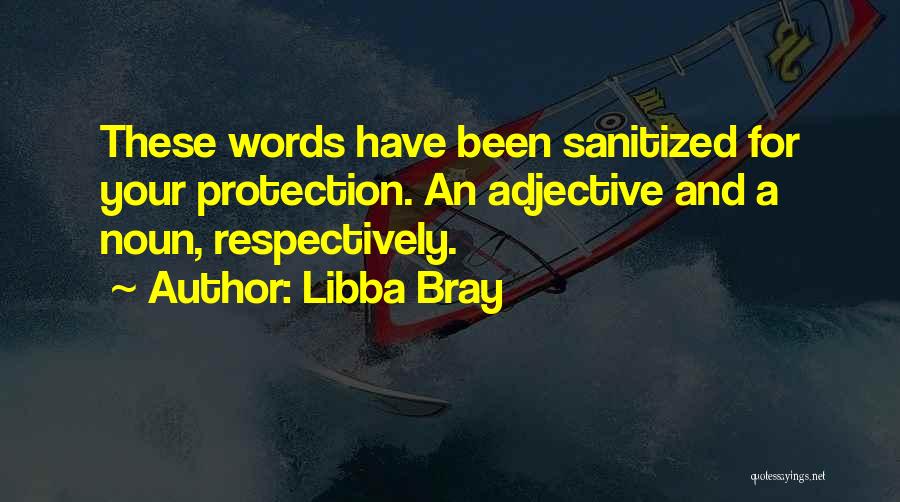 Libba Bray Quotes: These Words Have Been Sanitized For Your Protection. An Adjective And A Noun, Respectively.