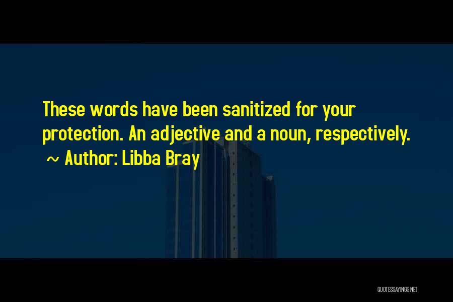 Libba Bray Quotes: These Words Have Been Sanitized For Your Protection. An Adjective And A Noun, Respectively.