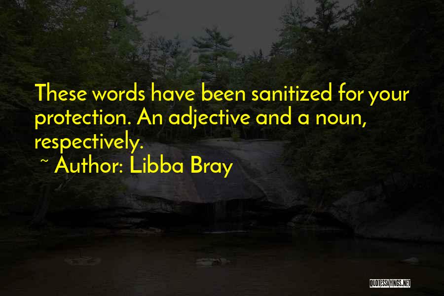 Libba Bray Quotes: These Words Have Been Sanitized For Your Protection. An Adjective And A Noun, Respectively.
