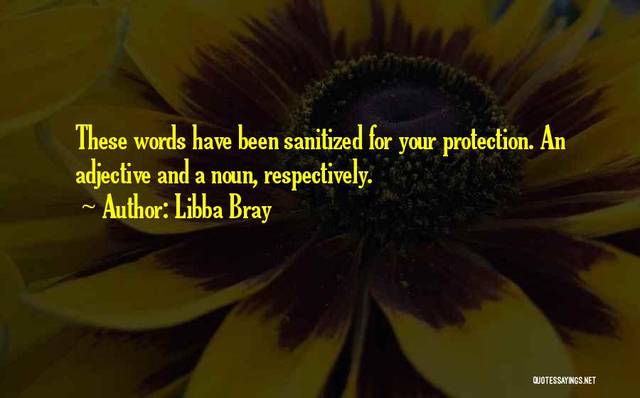 Libba Bray Quotes: These Words Have Been Sanitized For Your Protection. An Adjective And A Noun, Respectively.