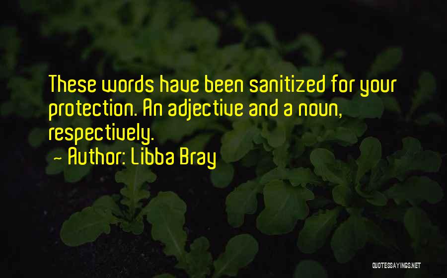 Libba Bray Quotes: These Words Have Been Sanitized For Your Protection. An Adjective And A Noun, Respectively.