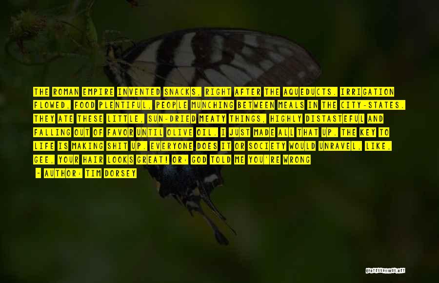 Tim Dorsey Quotes: The Roman Empire Invented Snacks, Right After The Aqueducts. Irrigation Flowed, Food Plentiful, People Munching Between Meals In The City-states.