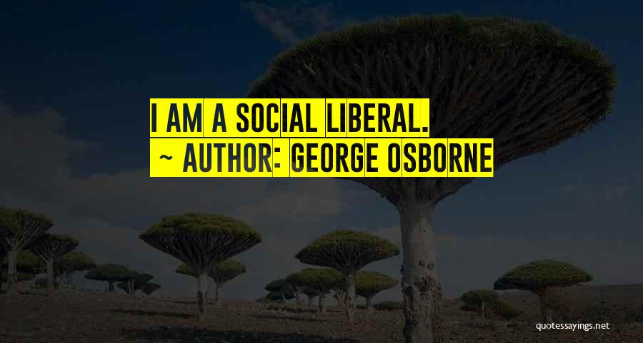 George Osborne Quotes: I Am A Social Liberal.