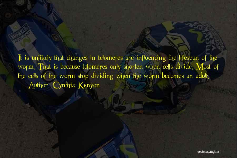 Cynthia Kenyon Quotes: It Is Unlikely That Changes In Telomeres Are Influencing The Lifespan Of The Worm. That Is Because Telomeres Only Shorten