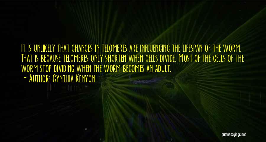 Cynthia Kenyon Quotes: It Is Unlikely That Changes In Telomeres Are Influencing The Lifespan Of The Worm. That Is Because Telomeres Only Shorten