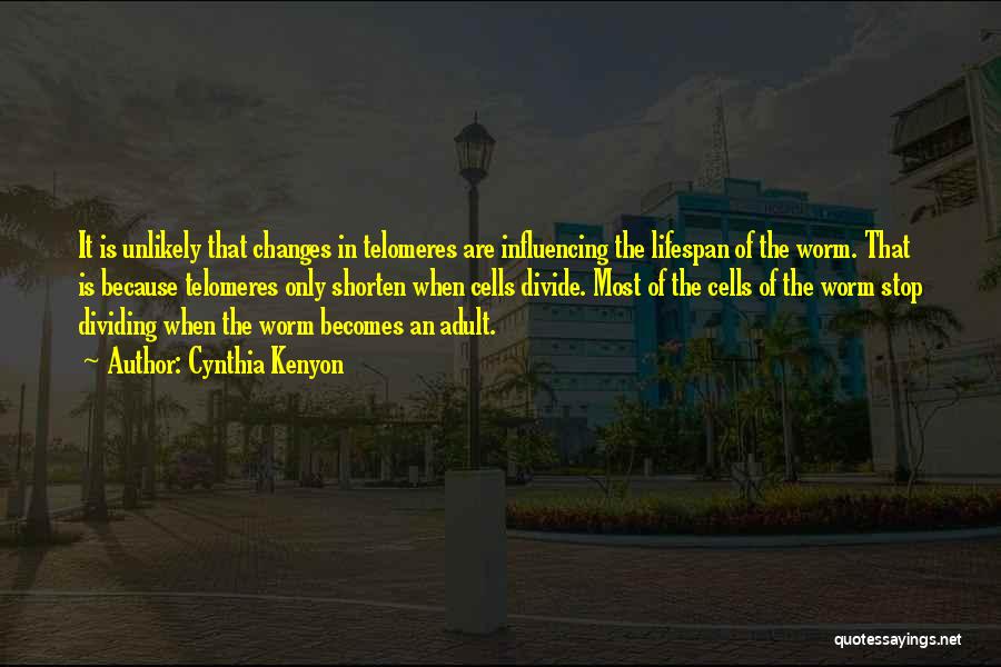 Cynthia Kenyon Quotes: It Is Unlikely That Changes In Telomeres Are Influencing The Lifespan Of The Worm. That Is Because Telomeres Only Shorten