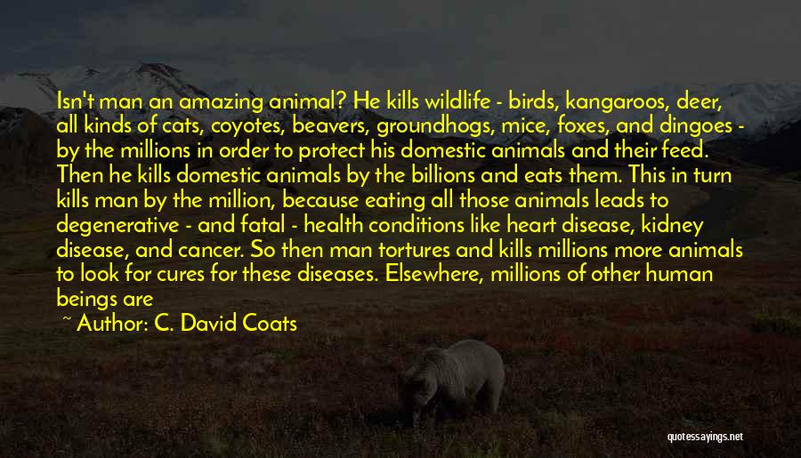 C. David Coats Quotes: Isn't Man An Amazing Animal? He Kills Wildlife - Birds, Kangaroos, Deer, All Kinds Of Cats, Coyotes, Beavers, Groundhogs, Mice,